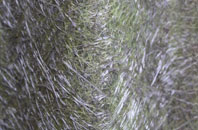 Frensham fibreglass roof work